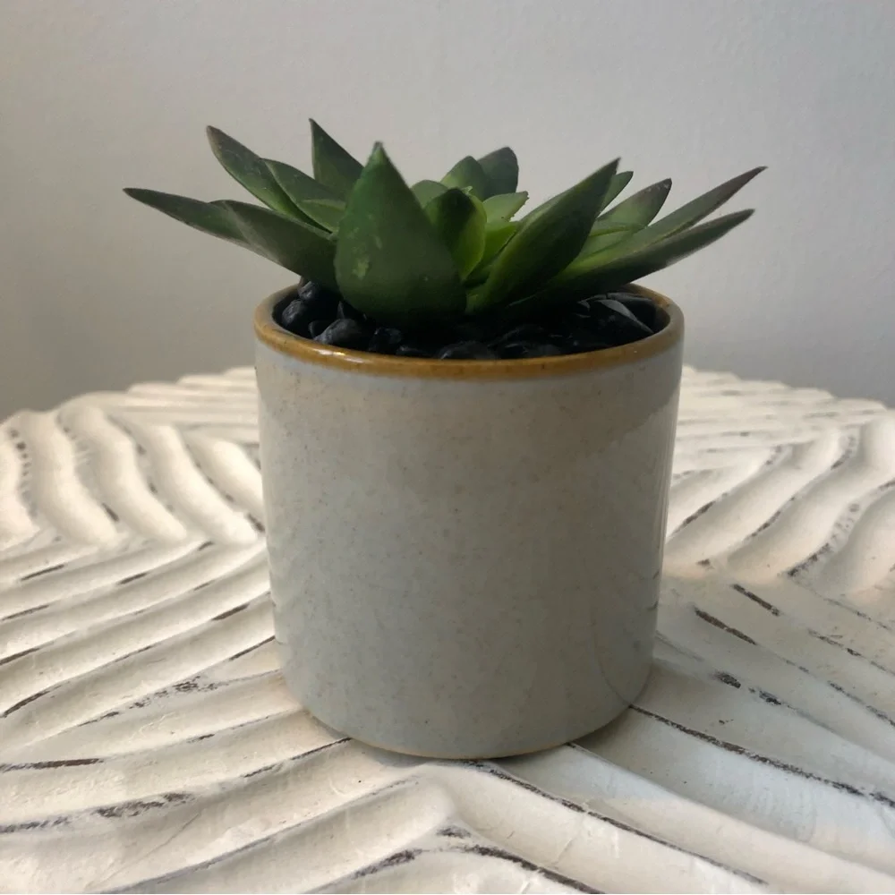 Mini Potted Faux Succulent - Small Artificial Succulent in Ceramic Pot